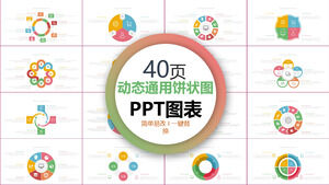 다채로운 동적 비즈니스 일반 원형 차트 PPT 차트 모음