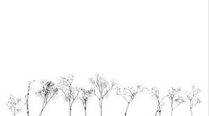 Branches minimalistes Image de fond PPT