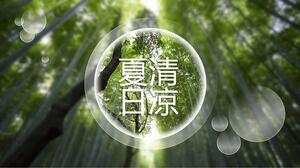 Fajny letni bambusowy bambusowy las szablon PPT