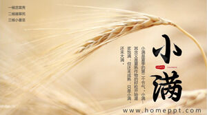 Fondo de campo de trigo dorado Plantilla PPT de introducción al término solar de Xiaoman