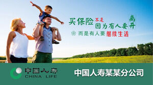 Modello PPT per l'introduzione dell'attività di assicurazione sulla vita in Cina