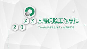 Green China Life Insurance Company Szablon PPT