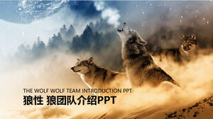 PPT template of wolf team culture in wolf pack background