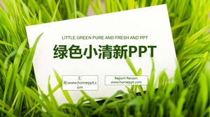 قالب PPT لخطة عمل جديدة مع العشب الأخضر وخلفية البطاقة البيضاء