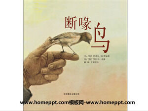Cartea ilustrată Povestea păsării cu cioc spart PPT
