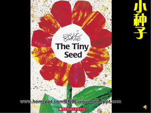 Histoire de livre d'images Little Seed PPT