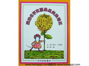 Mi nombre Kemeimei Chrysanthemum Lissang Silk libro ilustrado historia PPT
