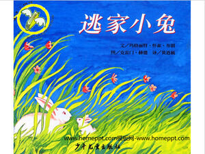 La historia del libro ilustrado Escape Rabbit PPT