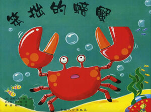 Children's picture book story: clumsy crab PPT