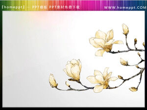 Cuatro materiales PPT de flores en primavera con fondo transparente.