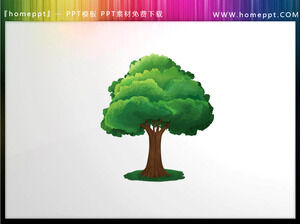 11 çizgi film ağacı PPT illüstrasyonları