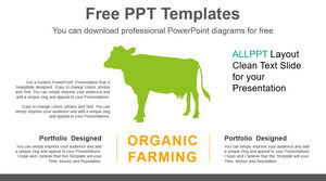 Kostenlose Powerpoint-Vorlage für die Rinderhaltung