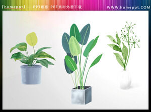Três peças de materiais PPT de plantas em aquarela verde