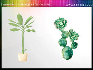 Verde Acuarela Bonsai y Cactus PPT Materiales