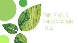環境の葉。 無料の PowerPoint テンプレートと Google スライドのテーマ