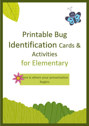 Printable Bug Identification Cards & Activities for Elementary