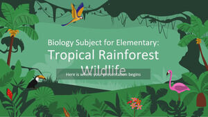 Biology Subject for Elementary: Tropical Rainforest Wildlife