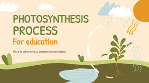 Processo di fotosintesi per l'istruzione