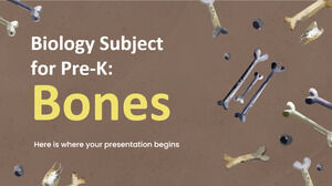 Biology Subject for Pre-K: Bones