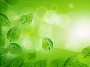 Abstraction Leaf Cuts เทมเพลต Powerpoint