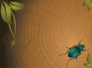 A Wood Bug Powerpoint Templates