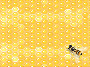 Honey Comb and Bee Powerpoint Templates