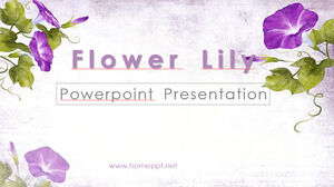 Szablony Powerpoint kwiat lilii