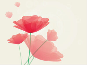 Templat PowerPoint Bunga Poppy Musim Panas