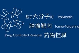 Tumor-Targeted Drug Controlled Release-Abschlussarbeit PPT