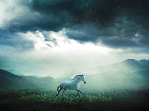 2014 strona zagraniczna wybór obraz tła slajdów koń (6 zdjęć)