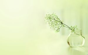 Une petite fleur dans une bouteille en verre - fond glisse vert calme et élégant