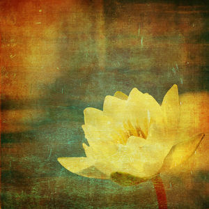 Antiguo grabado en madera - Lotus imagen de fondo ppt