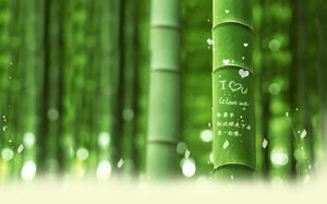 竹雕刻的字浪漫的爱情主题背景图片