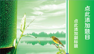 鳥や竹ライトグリーンの爽やかなPPTのワイドスクリーンテンプレート