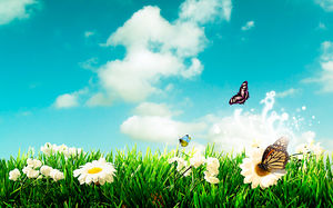 Butterfly in the butterfly butterfly dancing spring ppt background