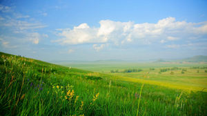 Dongeng dunia seperti gambar pemandangan padang rumput yang indah