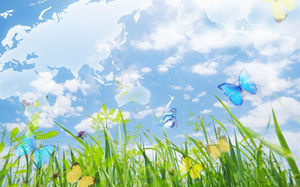 Grasgrün Blüte Schmetterling Tanz Frühlingsankunft Hintergrundbild