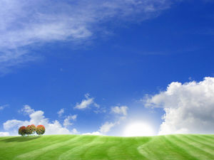 Grassland blue sky pure background picture