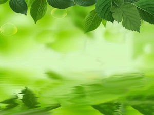 緑の葉緑水スプリングスライドの背景画像