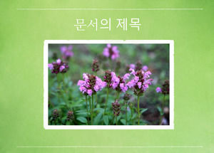 Kore yeşil doğal peyzaj albüm ppt şablonu