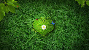 rumput cinta gambar latar belakang hijau