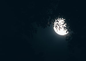 Mond Mond Mond Mond Mond High-Definition-Diabild