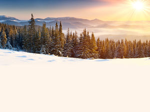 山上的雪杉雪雪花背景圖片