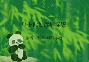 Panda eating spring bamboo shoots - giant panda ppt template