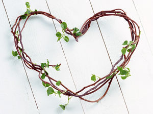 Plant vines rolled into a heart-shaped ppt background image