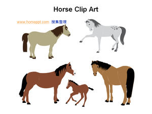 PPT Zeichnung Pferd Pferd Pferd Material Bild