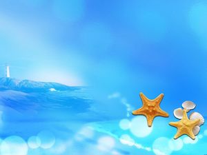 海星外壳蓝色的海洋背景图片