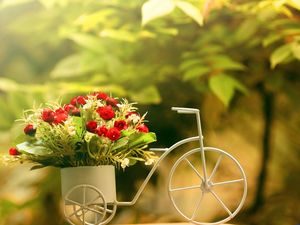 Tricycle roses romantic lover ppt background picture