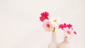 Dua botol gambar latar belakang bunga