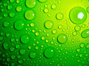 Vibrant green background crystal translucent water drops picture